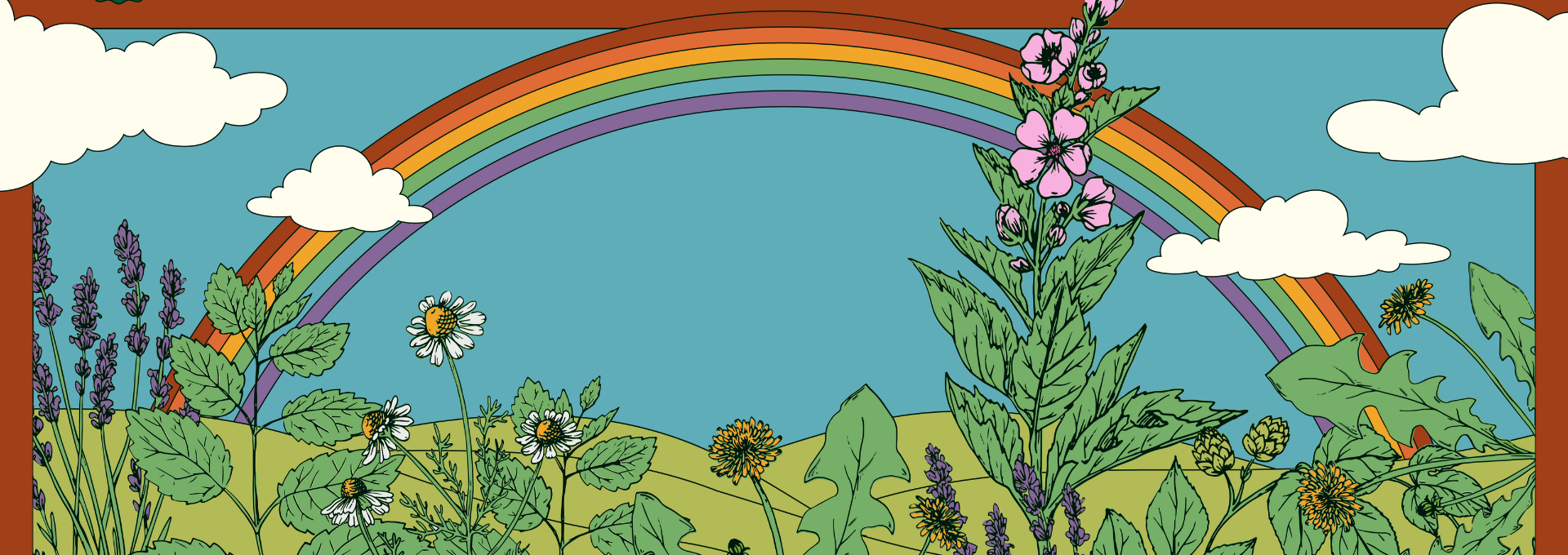 50th Anniversary Kit