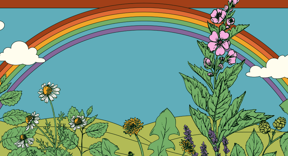 Illustration of rainbow over field of herbs