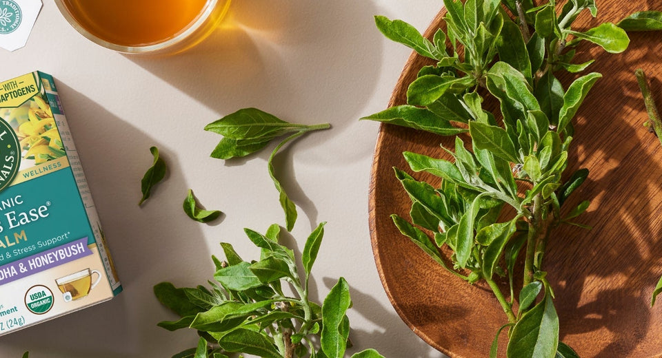 Stress Ease Calm tea box with tea cup and herbs overhead