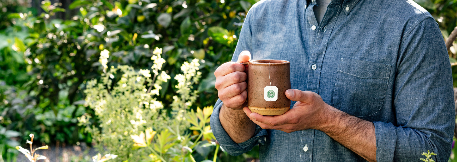 Herbs for Vitality: 10 Plant Allies for Men’s Health & Well-Being