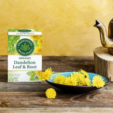 Tisane biologique à la feuille et à la racine de pissenlit