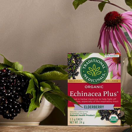 Tisane biologique Echinacea Plus® aux baies de sureau