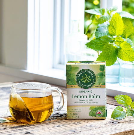 Tisane biologique à la mélisse