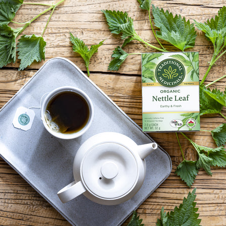 Tisane biologique à la feuille d’ortie