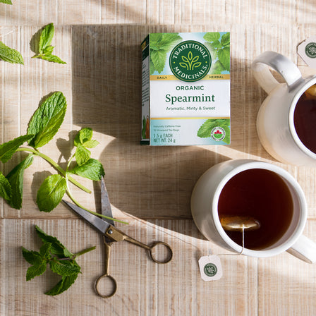 Tisane biologique à la menthe verte