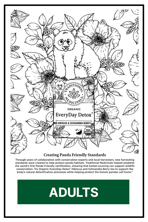 Adult panda coloring book - version 1