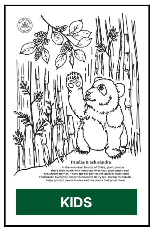 Kids panda coloring book - version 1